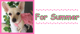 http://www.mrstewie.com/images/For_summer2.jpg